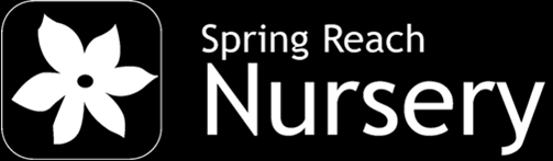 Spring Reach Nursery